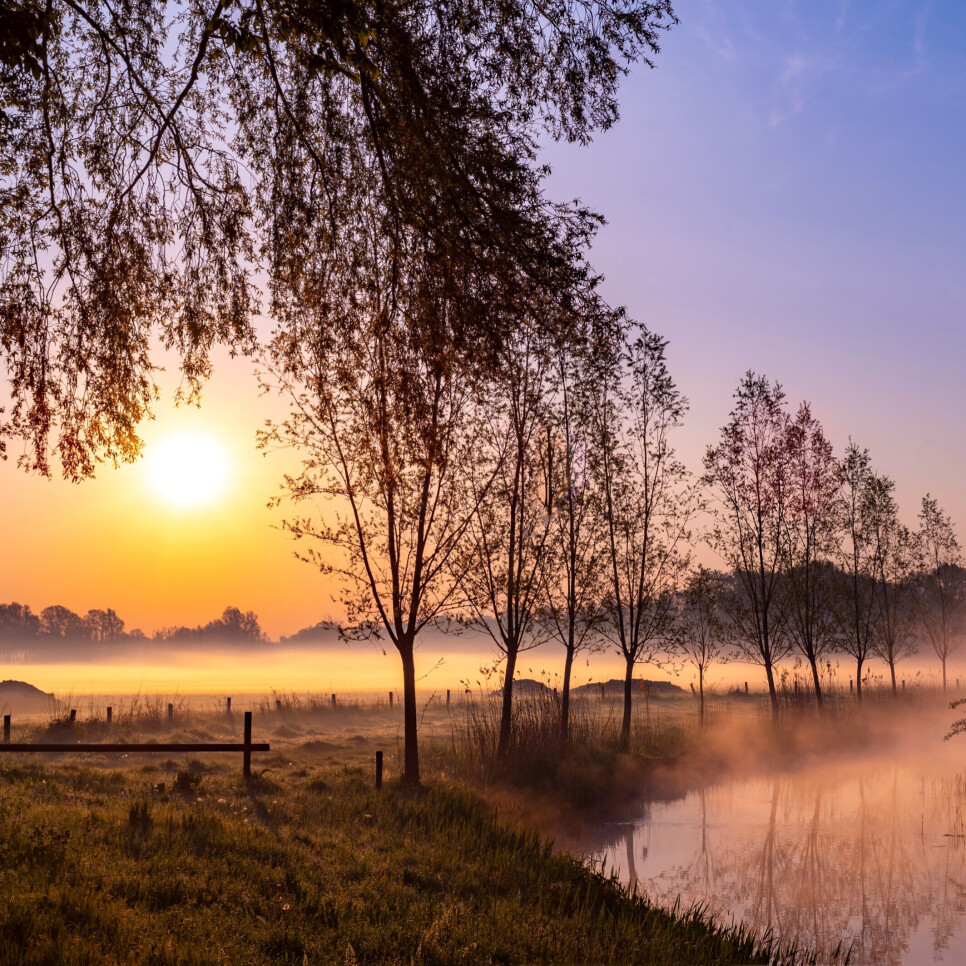 Oisterwijk, dorp aan de Stroom
