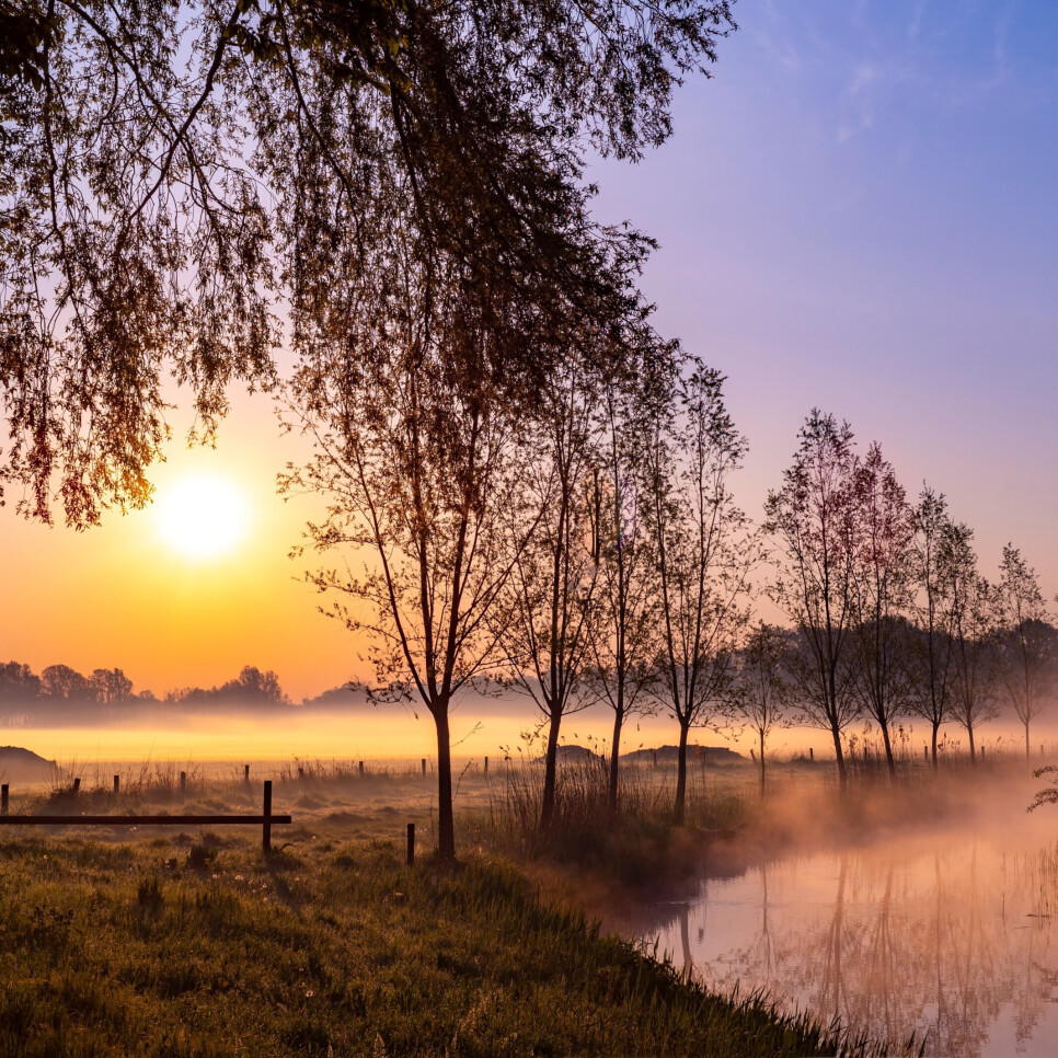 Oisterwijk, dorp aan de Stroom